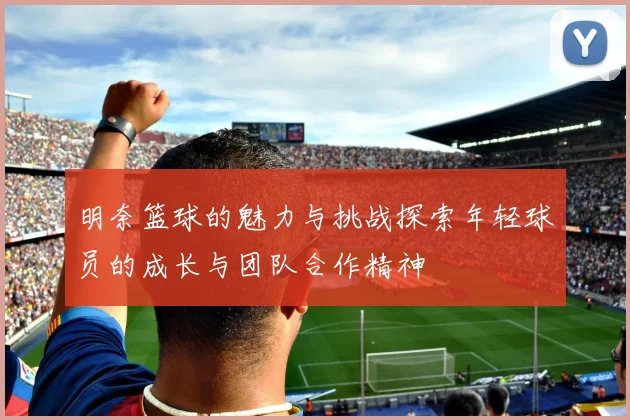 明奈篮球的魅力与挑战探索年轻球员的成长与团队合作精神