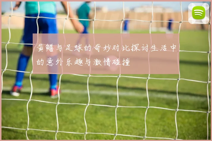 黄鳝与足球的奇妙对比探讨生活中的意外乐趣与激情碰撞