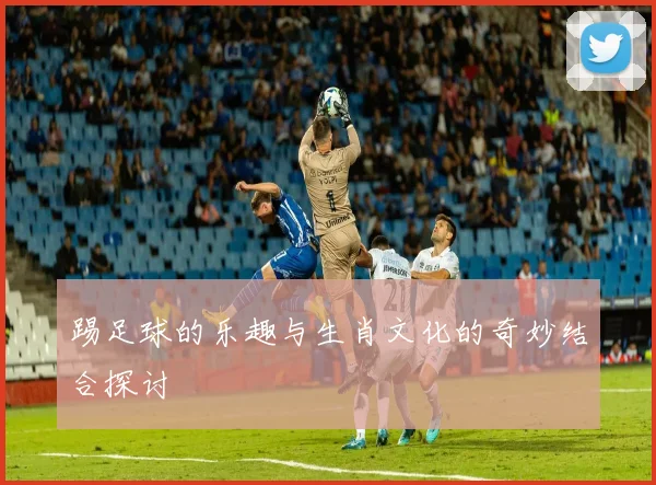 踢足球的乐趣与生肖文化的奇妙结合探讨