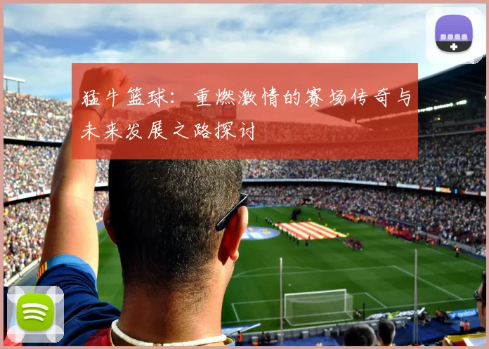 猛牛篮球:重燃激情的赛场传奇与未来发展之路探讨